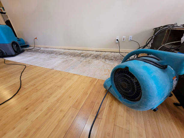 Professional Structural Drying technician working in Clyde, TX